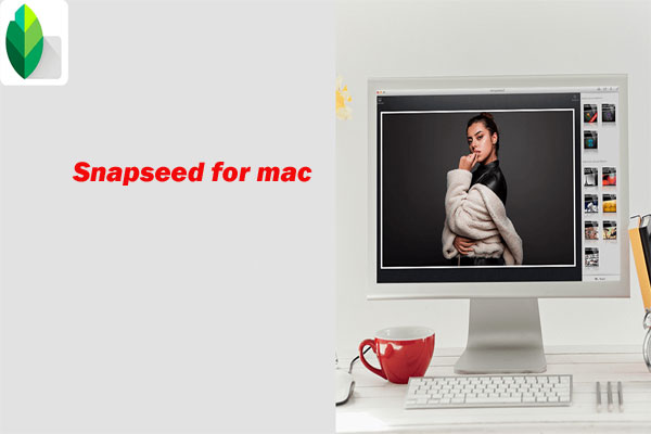 Snapseed for Mac